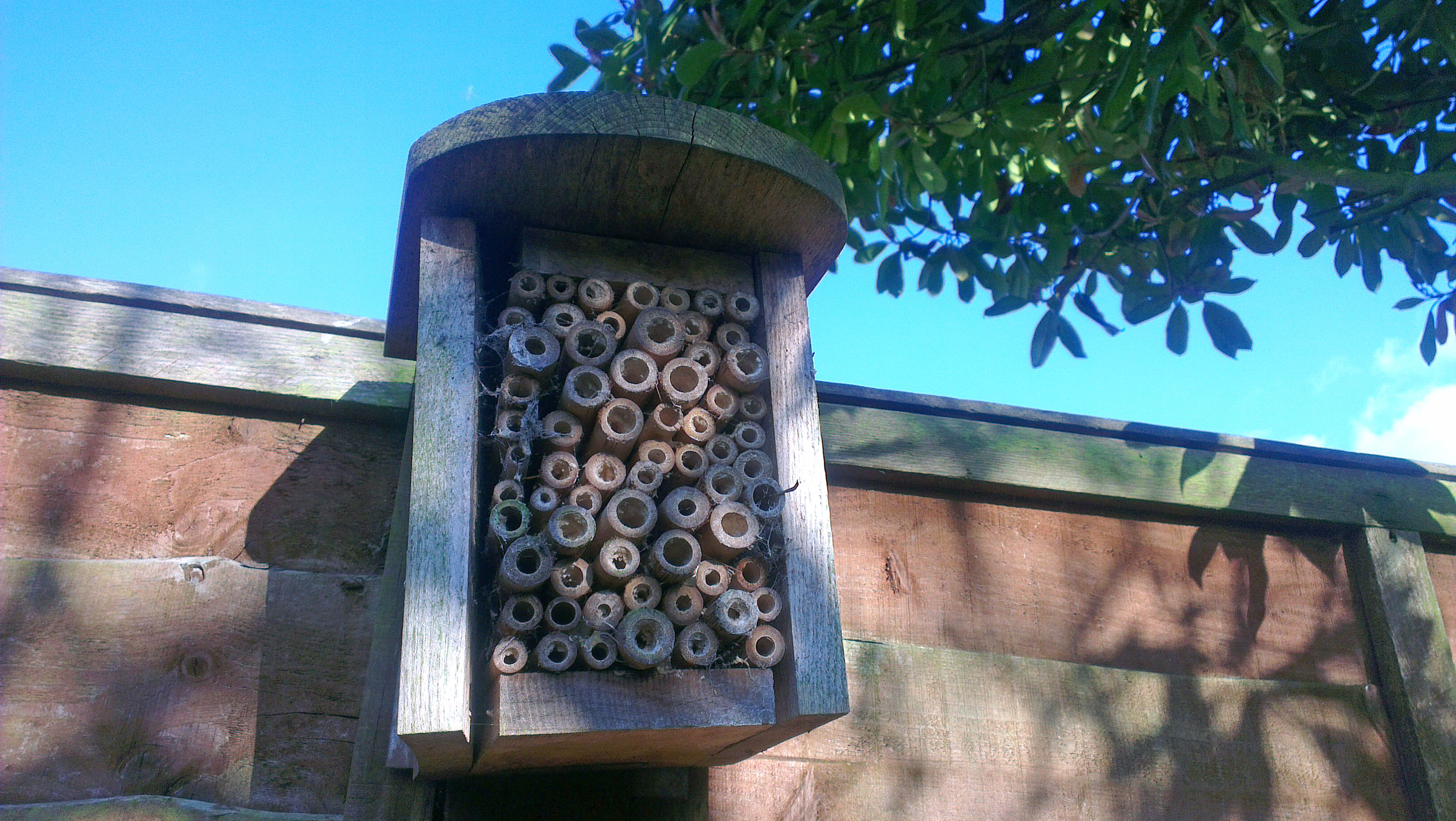 Bee Hive